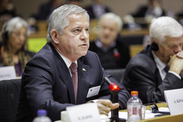 Fotografie 6: EU-Ukraine parliamentary cooperation committee