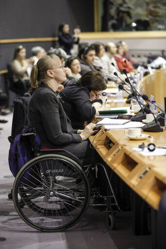 3rd European parliament of persons with disabilities.  Implementing the UN convention on the rights of persons with disabilities in a period of crisis.