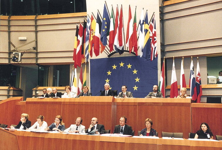 Photo 26: PROVAN James L.C in plenary session in Brussels