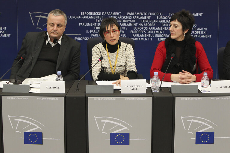 Φωτογραφία 11: Press conference - A representation of the Gernika (Guernica) Agreement