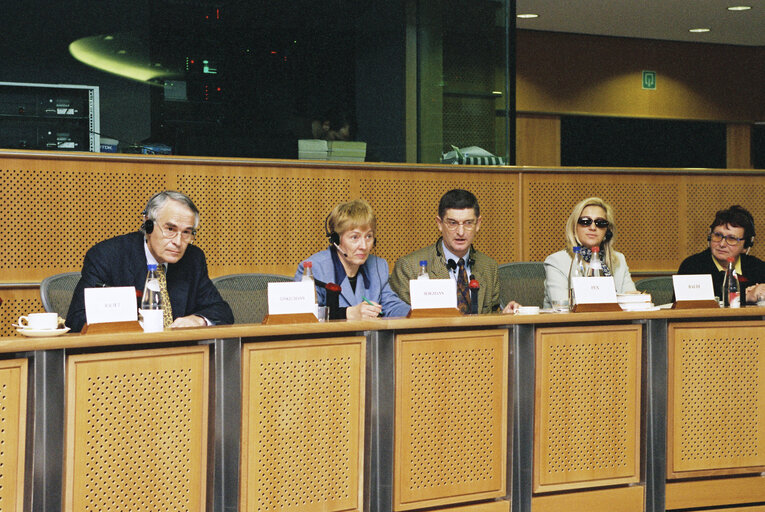 Fotografia 3: Meeting of the Committee on Culture, Youth, Education and Media - Discussion with Christine BERGMANN, German Minister for the Family, Senior Citizens, Women and Youth, on aspects of the German Presidency falling within the committee's sphere of competence