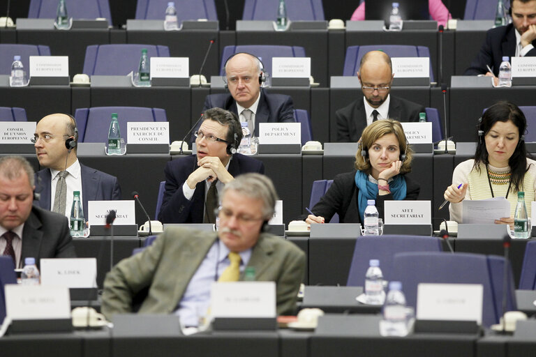 Fotografia 14: Joint meeting of the committee on foreign affairs, the committee on development and subcommittee on human rights, in association with the delegation for relations with Iran.  Exchange of views with the representatives of 2012 Sakharov prize laureates