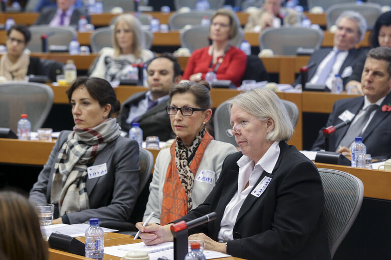 Foto 9: Conference:  Victims of crime beyond 2015