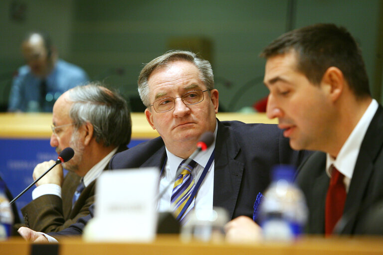 Fotografie 12: AFET Committee meeting with the Speaker of the National Assembly of Serbia.