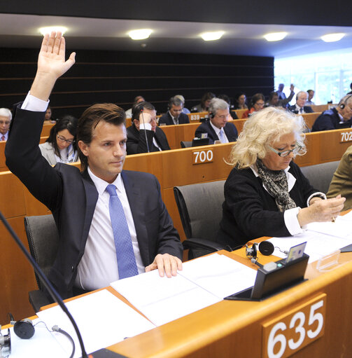 Photo 8 : Vote during Plenary Session in Brussels - Week 19 - 2012