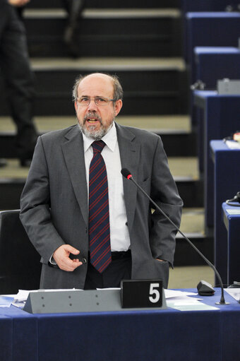 Plenary Session in Strasbourg - Week 21 - 2012