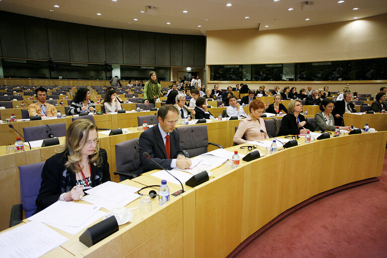 Fotografie 5: DG IPOL & DG EXPO seminar - EP and National Parliaments cooperation beyond the Lisbon Treaty