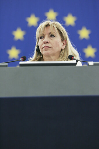 Plenary session week 21 2012 - Principle of equal pay for male and female workers for equal work or work of equal value