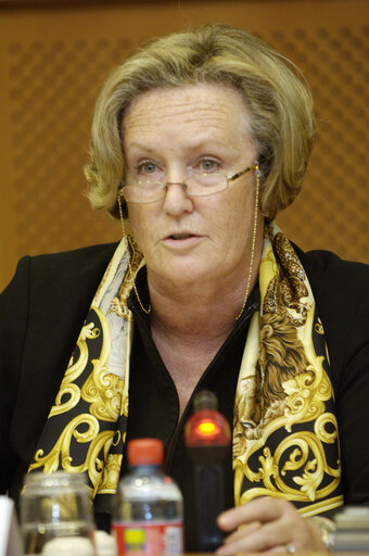 Avril DOYLE in a meeting at the EP in Brussels.