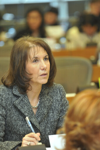 Martine ROURE MEP in a meeting at the EP in Brussels.