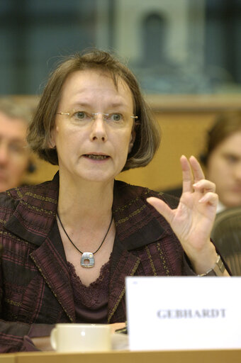 Foto 2: Seminar on the Lisbon Treaty held in Brussels