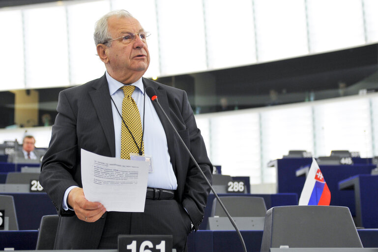 Photo 46: Plenary Session in Strasbourg - Week 21 - 2012