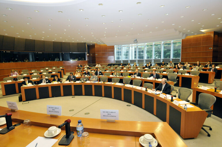 Fotografija 3: 29th EP-Japan Interparliamentary meeting in Brussels