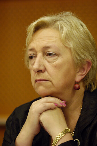 Foto 4: Rosa MIGUELEZ RAMOS in a meeting at the EP in Brussels.