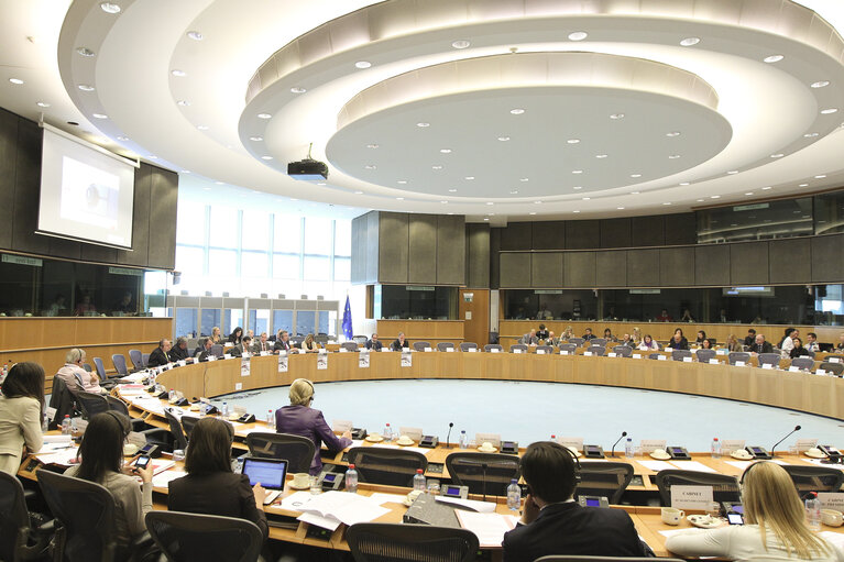 Foto 9: CRIM meeting: Special Committee on organised crime, corruption and money laundering in the EU