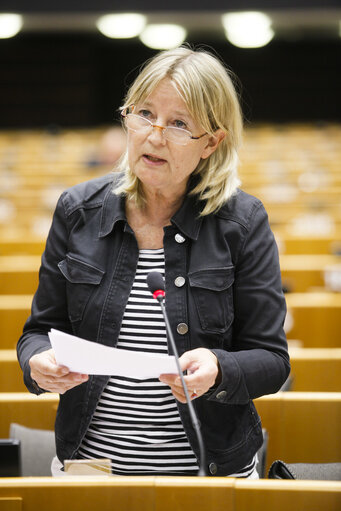 Photo 16: Plenary Session in Brussels - Week 19 - 2012