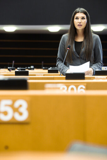 Foto 4: Plenary Session in Brussels - Week 19 - 2012