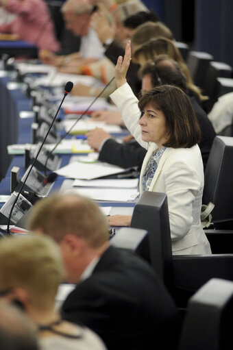 Fotografie 7: MEP Maria do Ceu PATRAO NEVES voting in plenary session