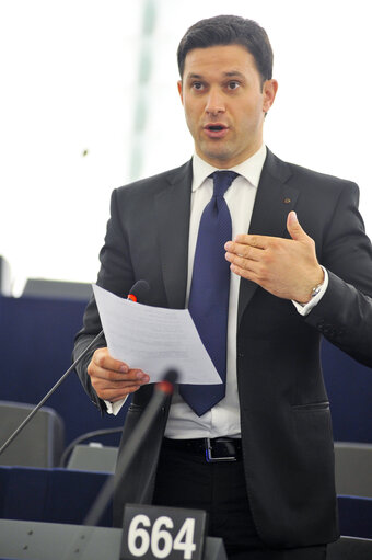 Plenary Session in Strasbourg - Week 21 - 2012