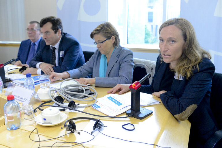 Foto 14: Meeting on Corruption in the EU : How corrupt is Europe