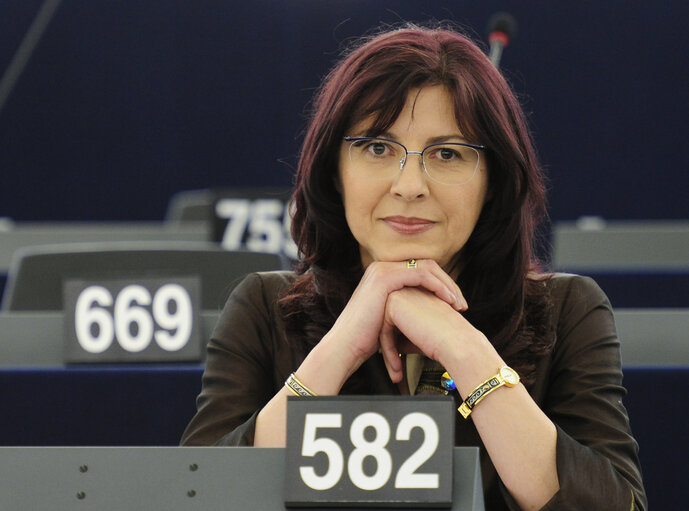 Billede 1: Plenary Session in Strasbourg - Week 21 - 2012