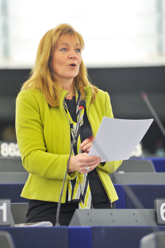 Photo 20: Plenary Session in Strasbourg - Week 21 - 2012