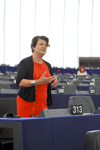 Plenary Session in Strasbourg - Week 21 - 2012