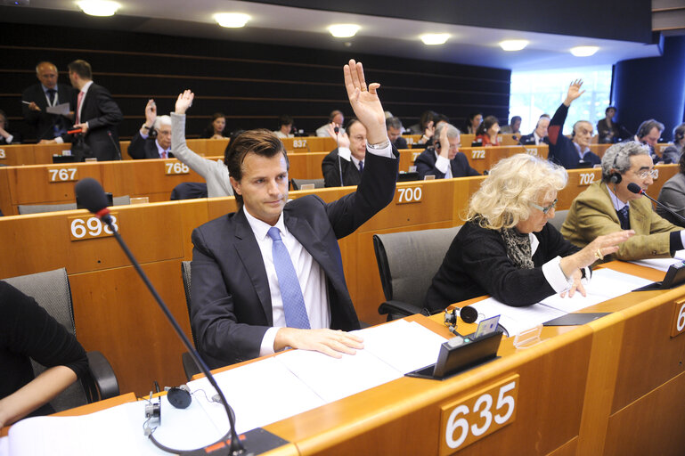 Vote during Plenary Session in Brussels - Week 19 - 2012