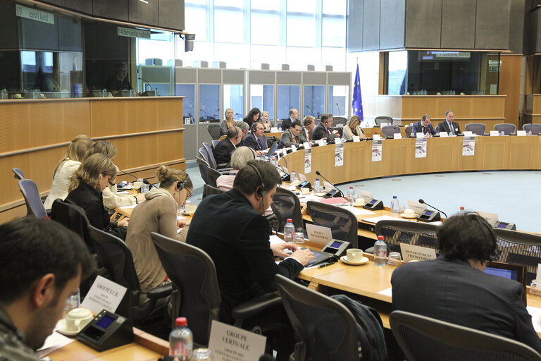 Foto 8: CRIM meeting: Special Committee on organised crime, corruption and money laundering in the EU