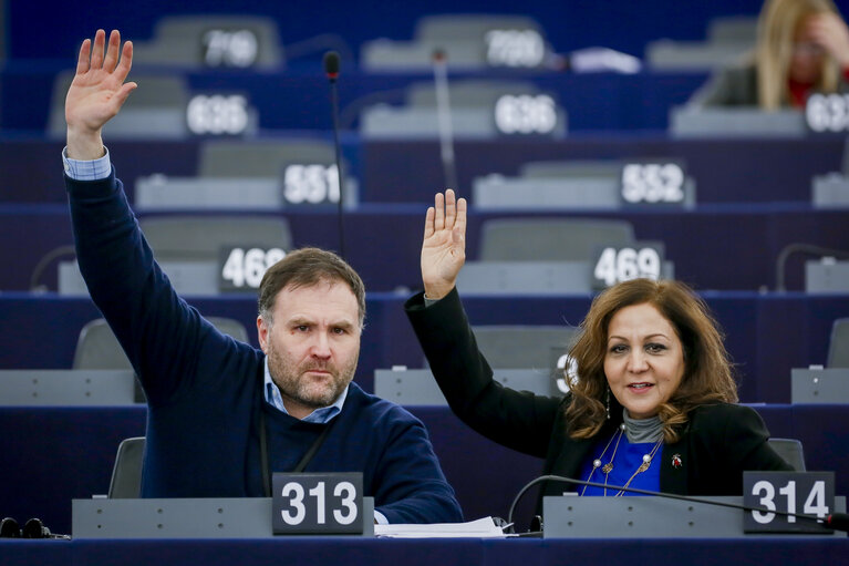 Zdjęcie 6: Neena GILL and Sion SIMON in the EP in Strasbourg