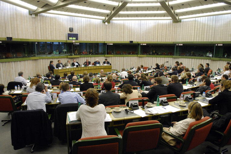 Fotografia 1: AFET committee meeting on the results of the General Affairs and External Relations Council (GAERC) meeting with the Minister of Foreign Affairs of the Republic of Slovenia.