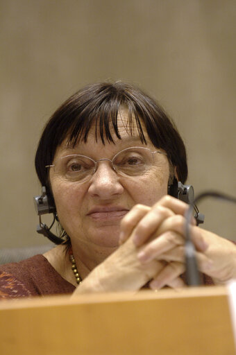 Fotografija 7: Luisa MORGANTINI in a meeting at the EP in Brussels.