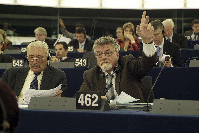 MEP Emanuel Jardim FERNANDES attends a plenary session in Strasbourg