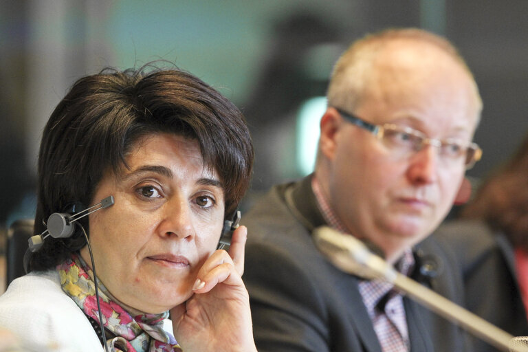 Fotografie 5: Joint hearing on the Implications of Climate Change on Human Rights, with presentation of a DROI study Human Rights and Climate Change: EU policy options. Exchange of views with Sakharov Winner 1994