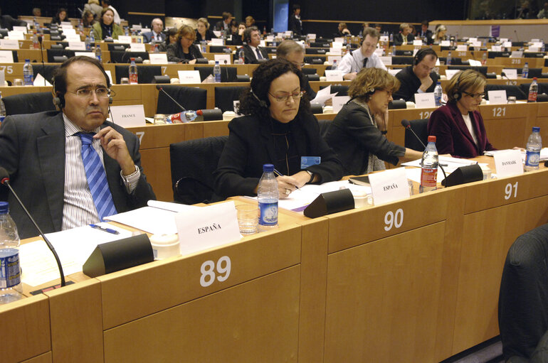 Fotografija 46: Interparliamentary meeting on the Future of Europe - EP meeting with National Parliaments