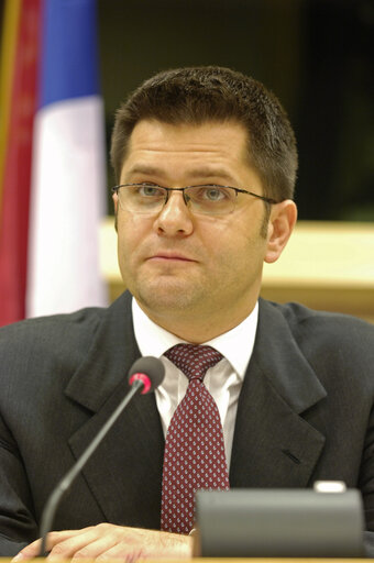 Fotografija 6: AFET committee meeting, discussion with the Minister of Foreign Affairs of the Republic of Serbia.