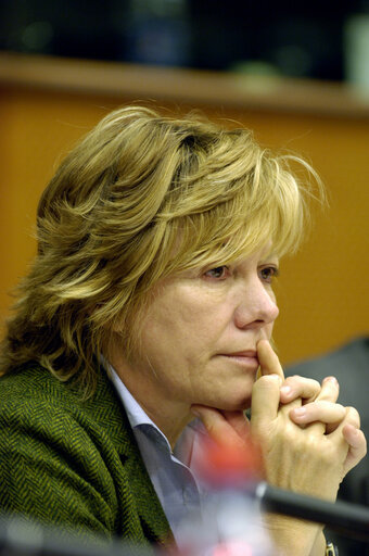 MEP Pilar del CASTILLO VERA attends a meeting in Brussels