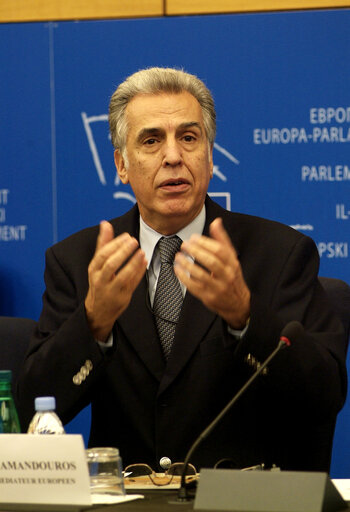 Fotografia 6: Press conference in Strasbourg - Presentation of the European Ombudsman's activities report 2006