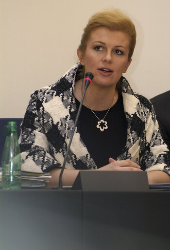 Valokuva 1: AFET Committee - Discussion with H.E. Kolinda GRABAR-KITAROVIC, Minister of Foreign Affairs and European Integration of the Republic of Croatia, in Strasbourg