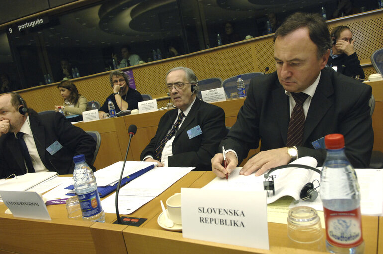 Fotografija 35: Interparliamentary meeting on the Future of Europe - EP meeting with National Parliaments