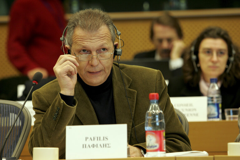 MEP Athanasios PAFILIS attends a meeting in Brussels