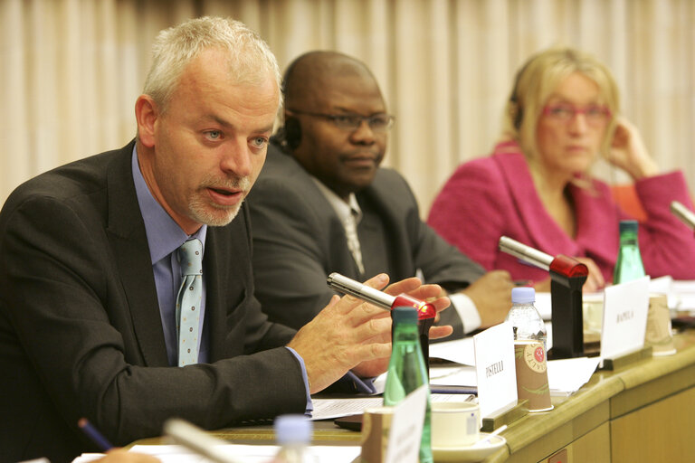 10th Interparliamentary meeting EP/South Africa on the future of the EU-ACP partnership following South Africa's qualified accession to the Cotonou Agreement as well as South Africa's efforts to mediate in the political and food crisis in Zimbabwe.