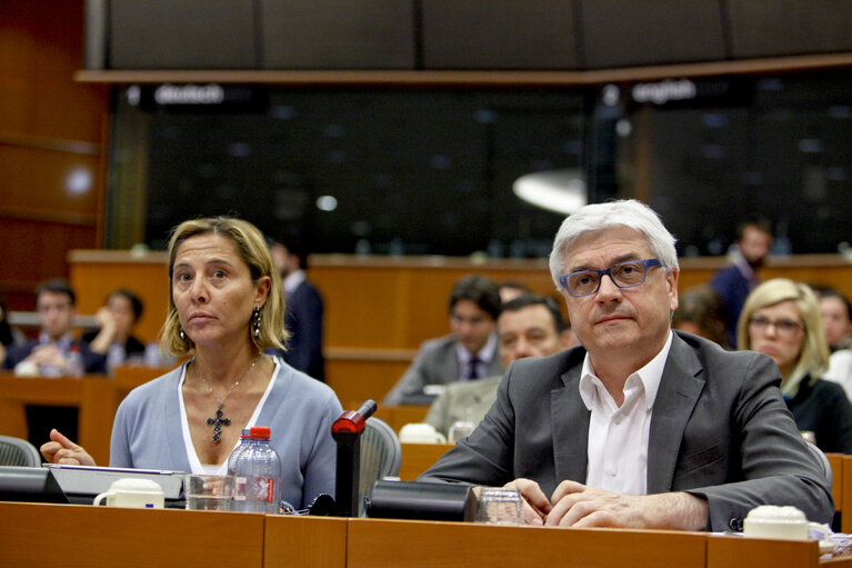 Fotó 8: Italian Minister meets with MEPs from Italian delegation