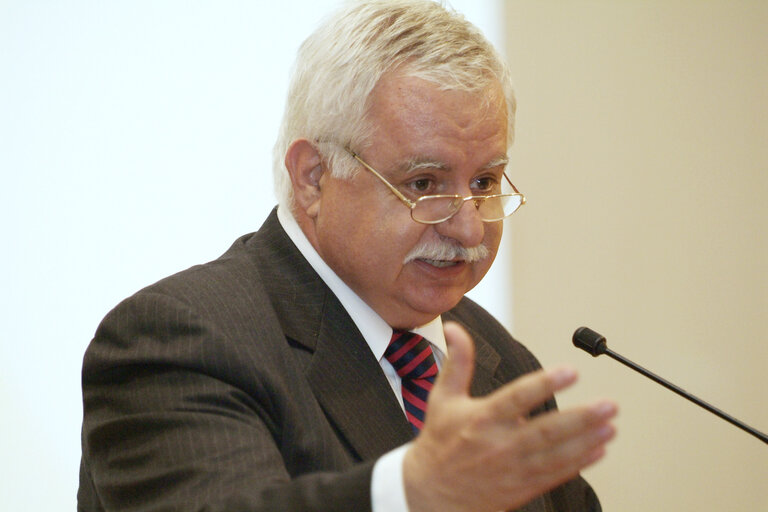 MEP Ioannis GKLAVAKIS delivers a speech in Brussels