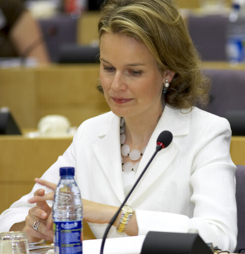 Suriet 4: Princess Mathilde of Belgium attends a meeting in Brussels