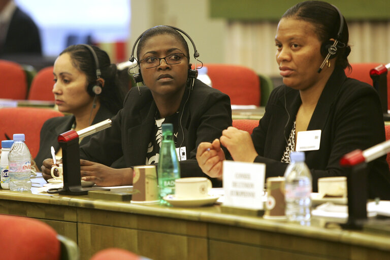 Fotogrāfija 5: 10th Interparliamentary meeting EP/South Africa on the future of the EU-ACP partnership following South Africa's qualified accession to the Cotonou Agreement as well as South Africa's efforts to mediate in the political and food crisis in Zimbabwe.