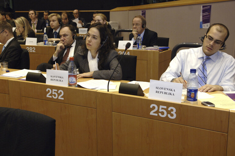 Fotografija 1: Interparliamentary meeting on the Future of Europe - EP meeting with National Parliaments