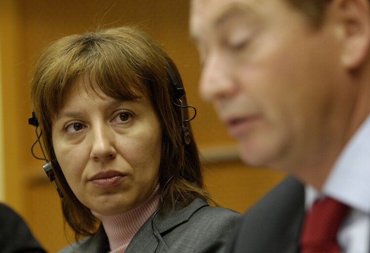 Fotografija 2: Filiz Hakaeva HYUSMENOVA in a meeting at the EP in Brussels.