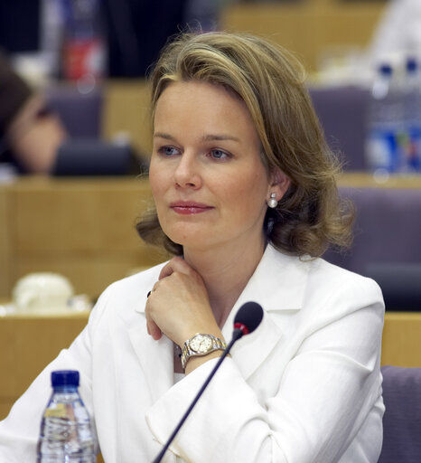 Suriet 3: Princess Mathilde of Belgium attends a meeting in Brussels