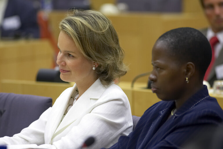 Suriet 2: Princess Mathilde of Belgium attends a meeting in Brussels